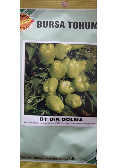Kolukısa Tarım Dik Dolma Biber Tohumu