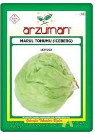1 Paket Tohum Iceberg Aysberk Top Marul Tohumu 10gr