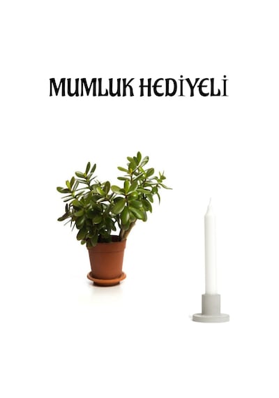 Kadınlar Gününe Özel Parlak Yapraklı Para Çiçeği Mumluk Hediyeli