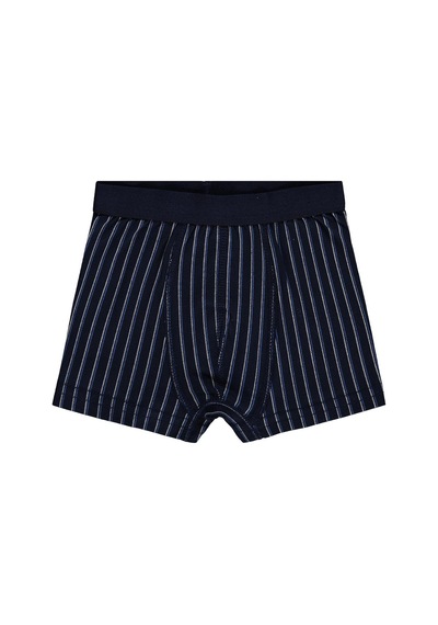 Civil Boys Derbili 2-10 Yaş Erkek Çocuk 2'li Boxer - Standart