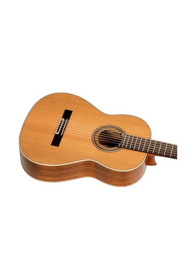 Ortega R20gwn Traditional Series Klasik Gitar Natural