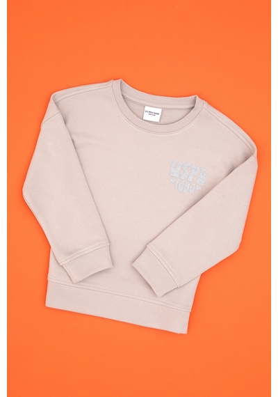 U.S. Polo Assn. Kız Çocuk Taş Simli Baskı Detaylı Bisiklet Yaka Basic Sweatshirt 50314289-VR049