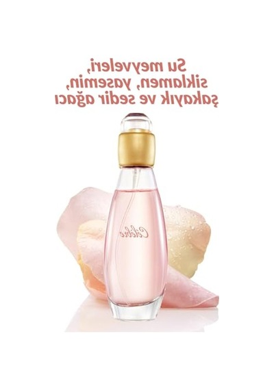Kadın Parfüm, 50 Ml Amber