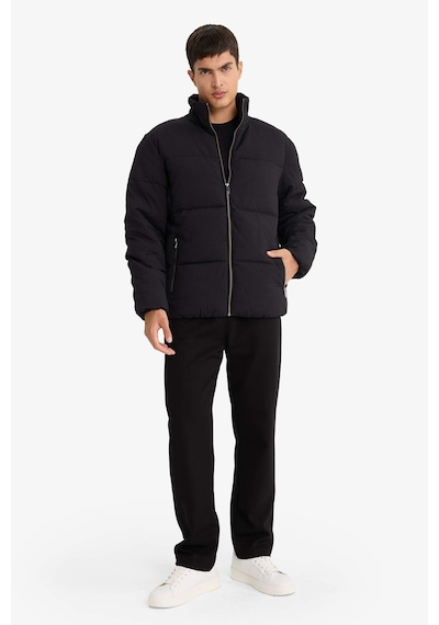 Defacto Regular Fit Dik Yaka Astarlı Fermuarlı Cepli Kışlık Mont F0418ax25wnbk27 Siyah-bk27