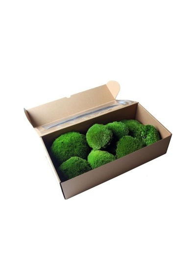 Top Yosun Şoklanmış Ort. 500 Gr. Ballmoss Yosun Koyu Yeşil