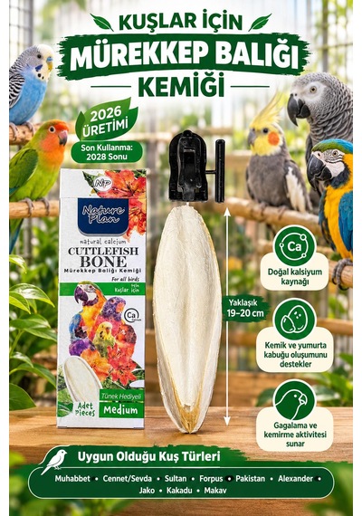 Mürekkep Balığı Kemiği Medium 19-20 Cm + Kafes Aparatı Muhabbet Ve Papağanlar İçin Doğal Kalsiyum Kaynağı