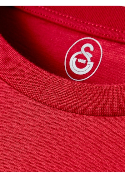 Gsstore Galatasaray Erkek T-shirt E252090 Kırmızı