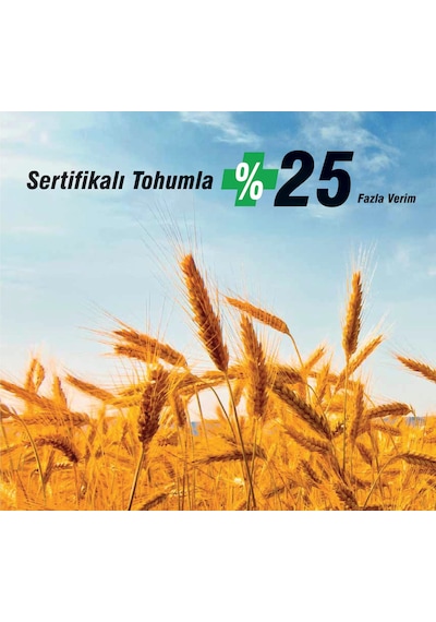 Tigem Ceyhan 99 Buğday Tohumu KG Sıfır