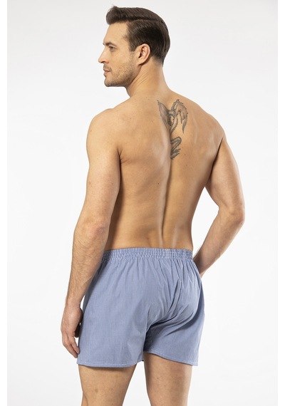 Cacharel 1113 Erkek Poplin Boxer-mavi Mavi
