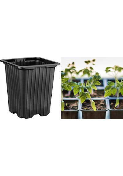 THERMOFORM KARE VAKUM SAKSI 30 ADET - ÜRETİM SAKSISI 9 CM