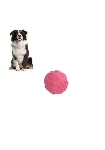 Oyun Topu Ve Büyük Boy Çelik Kaydırmaz Kedi Köpek Su Mama Vb. Kabı Alt Taban 21,5 Cm