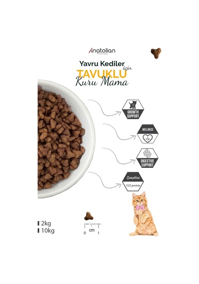 Kitten Chicken Tavuklu Yavru Kedi Maması 2 Kg