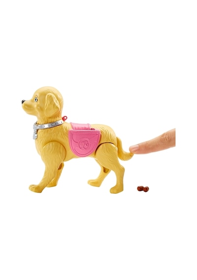 Barbie ve Tuvalet Eğitimindeki Köpeği Köpekli Barbie