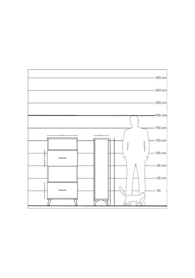 Hyperion Dolap 2 Raflı 2 Çekmeceli 60x44x134 Çam-antrasit Çam