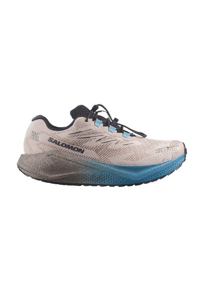 Salomon Aero Blaze 4 Grvl Gore-tex Erkek Koşu & Yürüyüş Ayakkabısı-l45403300 Çok Renkli
