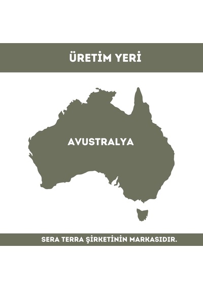 %100 Saf Okaliptus Uçucu Yağı 10 Ml - Doğal Nefes Ve Terapi Etkili Eucalyptus Globulus 10 ML