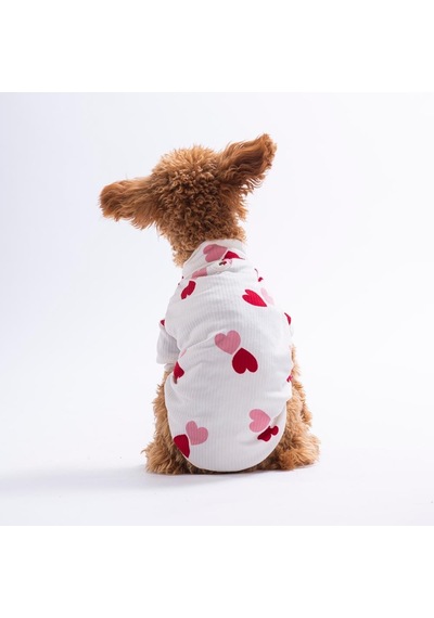 Cool Love Havalı Aşk 3'lü Sweat Set Kedi Köpek Sweati - Kedi Köpek Kıyafeti
