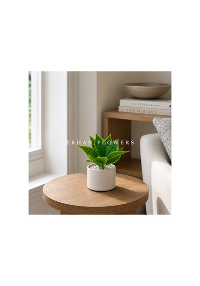 48 Cm Yapay Dekoratif Ağaç Çok Renkli