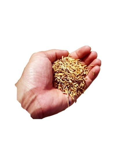 Çinko Sülfat Gübresi (Çinko Sülfat Heptahidrat) Çinko Tuzu- 25 KG