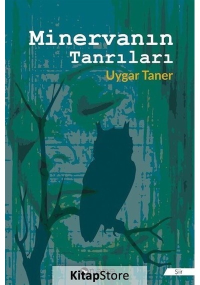 Minervanın Tanrıları - Uygar Taner - Name