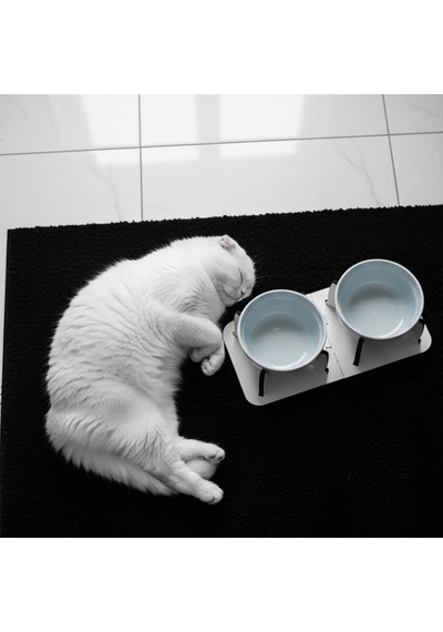 Kedi Köpek Mama Kabı, Ahşap Ayrılabilir Tabanlı 2'li Mama Ve Su Kabı Seti Kaymaz Stand, Hijyenik Kaseler, Minimal Tasarım, Seramik Kase Mavi Seramik