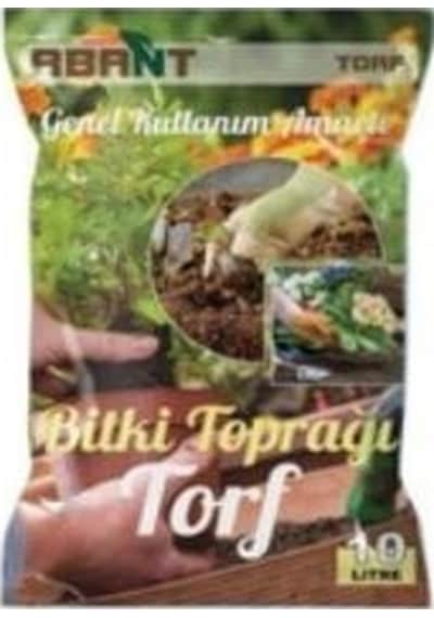Domates + Salata + Biber + Patlıcan + 60 Adet Tohum Toprak + G