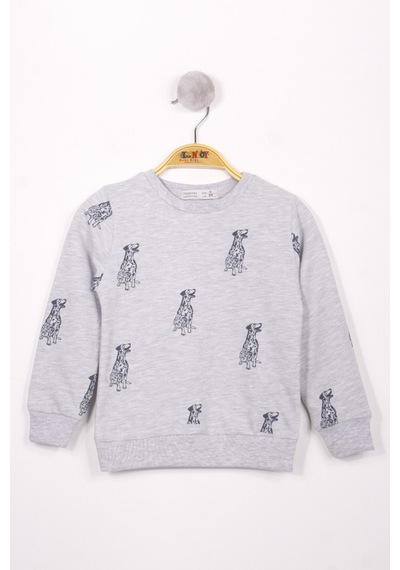 Toontoy Kids Toontoy Erkek Çocuk Relax Fit Bisiklet Yaka Baskılı Sweatshirt - 2 İplik Gri