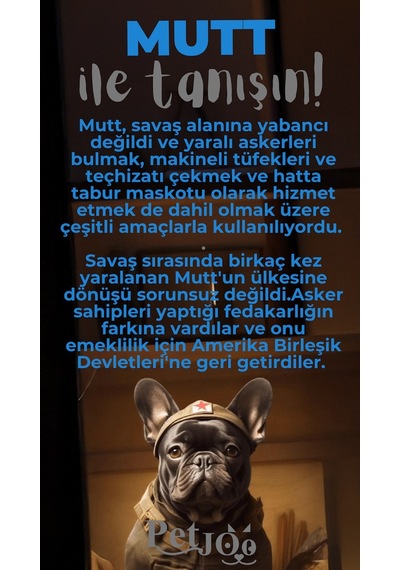 Petjoo 10.Mutt Gri-Mavi Qr'lı Köpek Künyesi