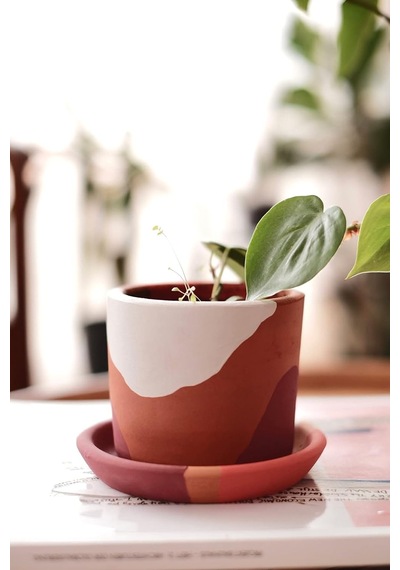 Terracotta Saksi + Tabak Bordo Beyaz 10x9cm