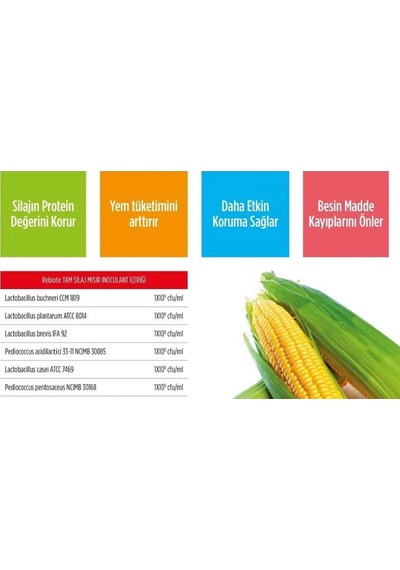 Rebiotic Inoculant Tam Silaj Koruyucu Katkısı-4 Mevsim - 5 Litre