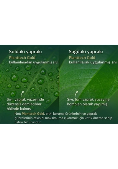 PLANTTECH Gold (80 cc) Organik Silikon Tarımsal Yayıcı Yapıştırıcı - Gübre Ve İlaç Etki Artırıcı-Süper Yayılım -