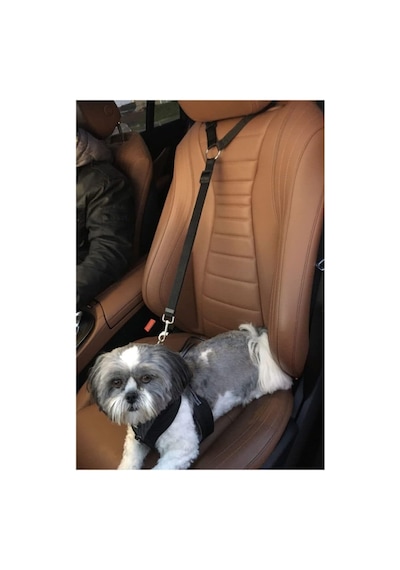 Araba Köpek Emniyet Kemerli Tasması Evcil Hayvan Araç Seyahat Kemeri