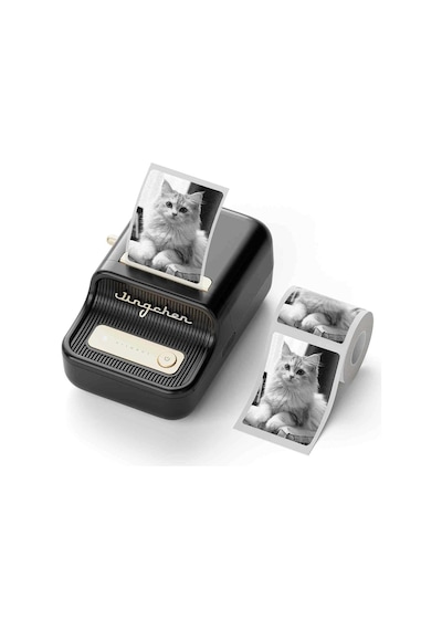 Niimbot B21s Bluetooth Taşınabilir Termal Etiket Yazıcı-siyah