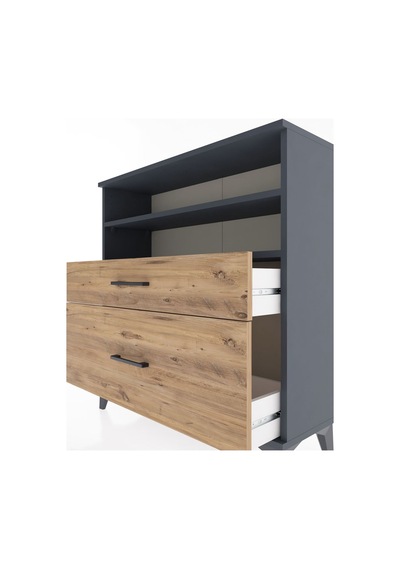 Arges Şifonyer 2 Raflı 2 Çekmeceli 88x30x96 Antrasit-çam Antrasit