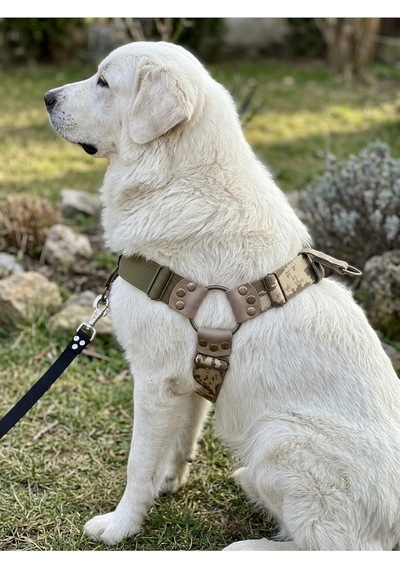 Köpek Göğüs Tasması Ayarlanabilir Büyük Irk Ön Ve Arka Çekmeli Kolon Kordon Kamuflaj Köpek Göğüs Tasması Ayarlanabilir Büyük Irk Ön Ve Arka Çekmeli Kolon Kordon Kamuflaj