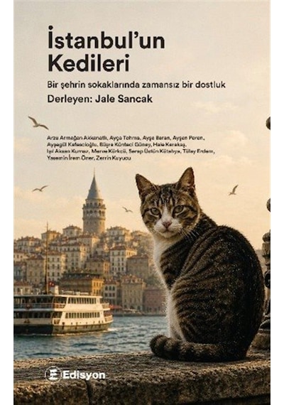 İstanbul'un Kedileri / Kolektif