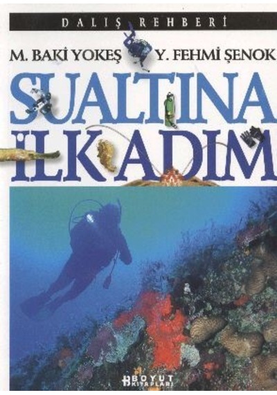 Dalış Rehberi Sualtına İlk Adım