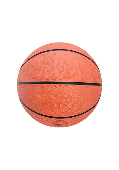 Tryon Basketbol Topu
