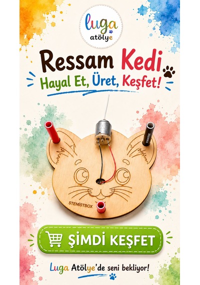Stemist Box: Ressam Kedi