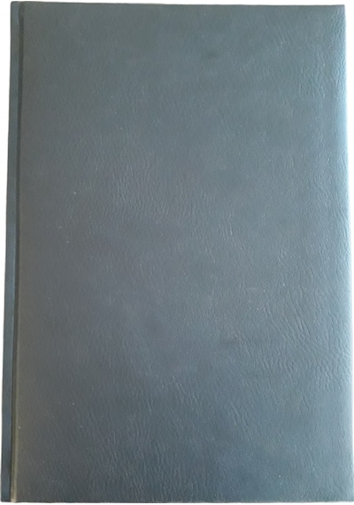 Lızy Thermo Deri Ticari Ajanda 17X24 Aj720 Çok Renkli