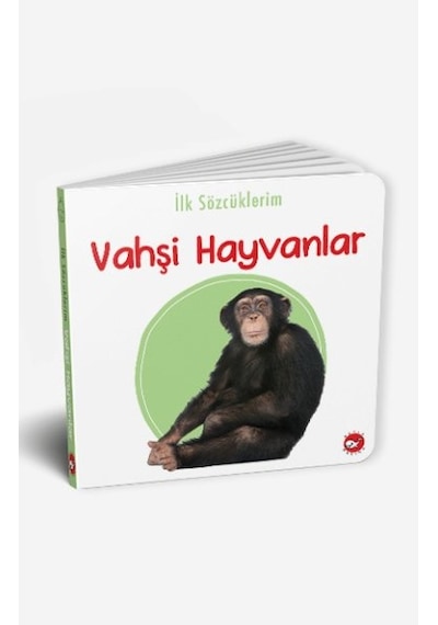 Ilk Kitaplığım 15 Kitap Ingilizce Türkçe Renkli Resimli Sertsayfa