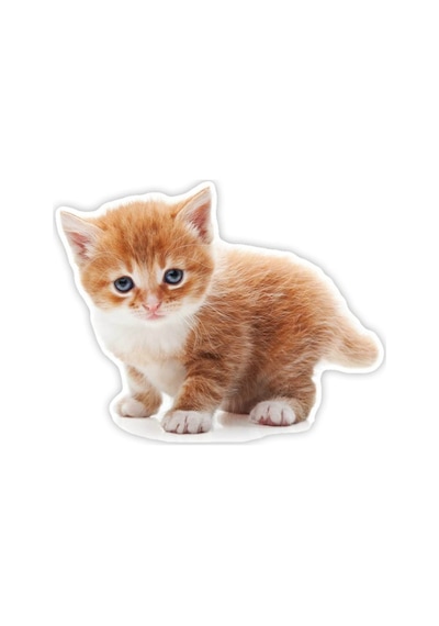 Tekir Kedi Turuncu Yavru Araba Sticker 18Cm Model1