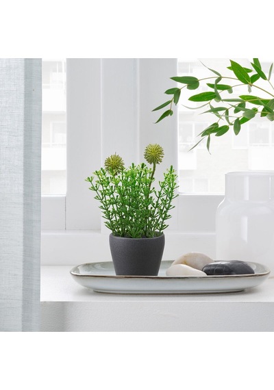 Toprak Saksı, Koyu Gri, 6 Cm 3 Adet