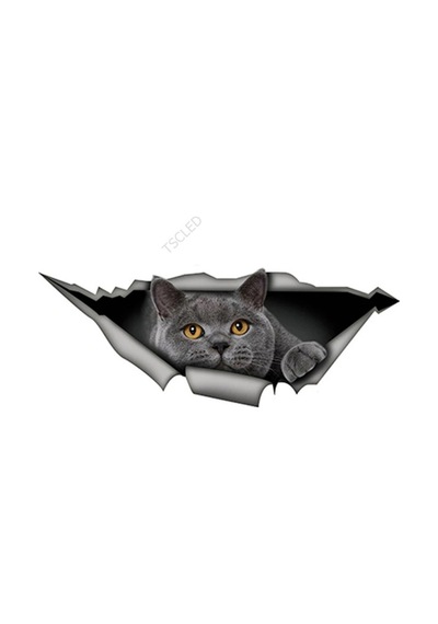 15Cm X 6Cm Ingiliz Shorthair Komik Kedi Araba Sticker Gri Kedi