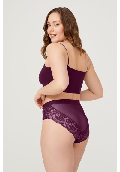 Cottonhill Dantelli Arkası Transparan Büyük Beden Bikini Külot 3'lü Paket Çok Renkli 2