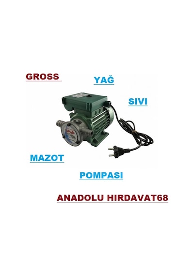 Gross 220 Volt Yağ Mazot Sıvı Aktarma Pompası 1 Inç Elektrikli