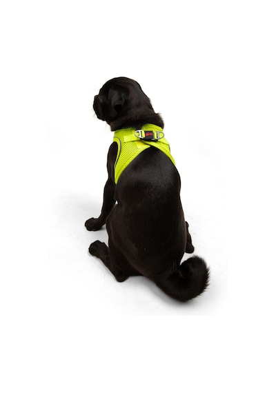 Air-Mesh Küçük ve Orta Irk Kedi Köpek Göğüs Tasması - Yumuşak, Nefes Alabilir, Dayanıklı NEON LİME 2XS