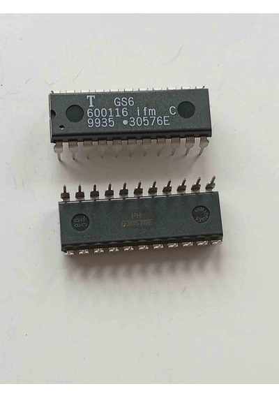 Gs6600116 Temıc Diğer Entegreler 2 Adet