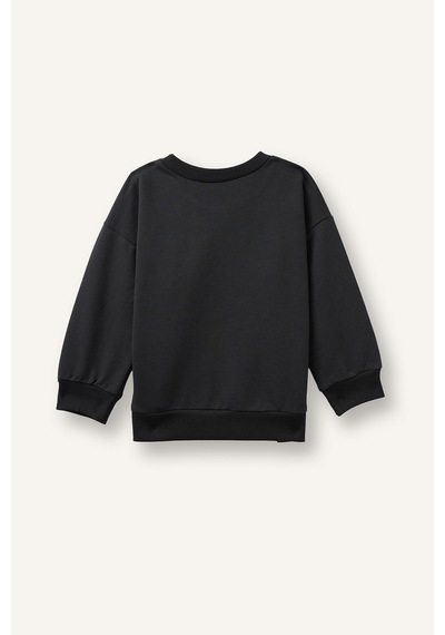 Defacto Oversize Kaplan Baskılı Ve Yazılı Uzun Kollu Sweatshirt Erkek Bebek I3806a526wnar202 Antrasit-ar202