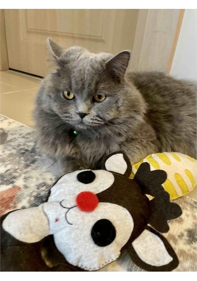 Dino Geyik 28 Cm Catnip + Kedi Zili
